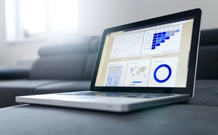 Data Visualization: An Essential Skill for Health Information Management Professionals