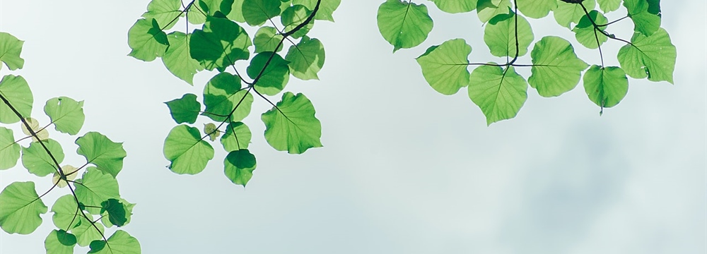 Barbara Ann Siegel, Former AHIMA President, Dies at 71