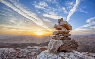 Out of the Wilderness