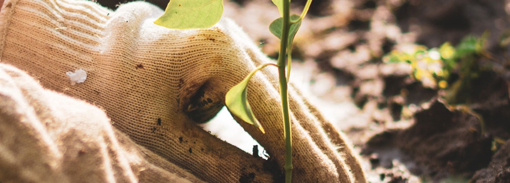 Measuring the Prospects of Artificial Intelligence by Health Information Management’s Yardstick