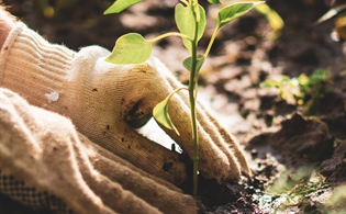 Measuring the Prospects of Artificial Intelligence by Health Information Management’s Yardstick