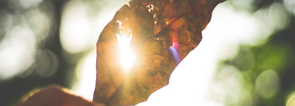 The Spring of Hope