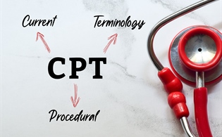 2024 CPT Code Changes: What to Know and How to Prepare