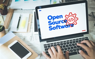 Open-Source Software in Healthcare: Promise and Precautions for HI Professionals