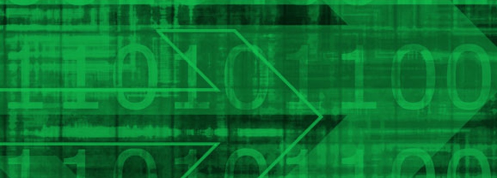 The “Accidental Data Analysts”