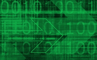 The “Accidental Data Analysts”