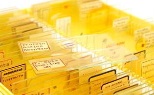 Slideshow: Fine Print Fears