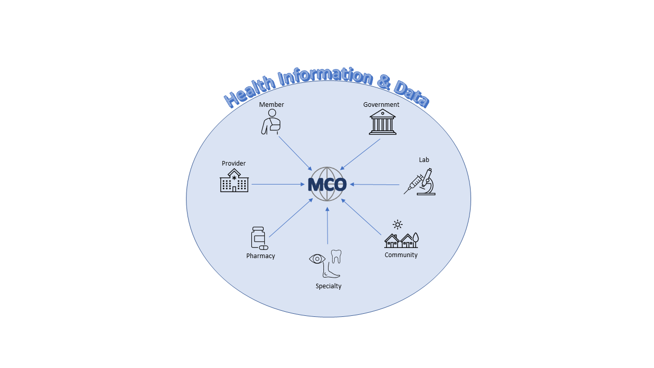 Health Information & Data / Stephen A. Young, RHIA, MBA, MSS